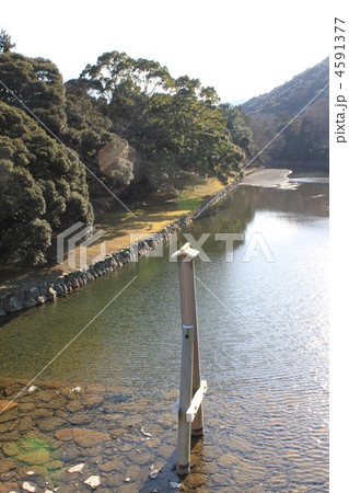 お伊勢参り 4591377