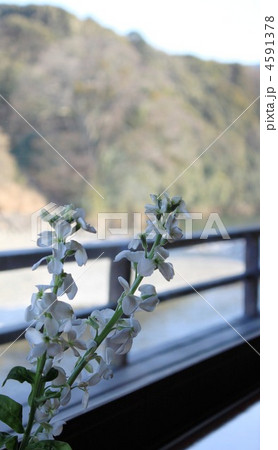 窓越しの風景 4591378