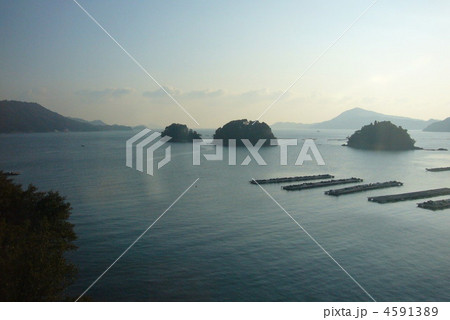 夜明けの風景 4591389