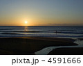 4591666