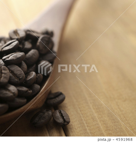 コーヒー豆 コーヒー豆 4591968
