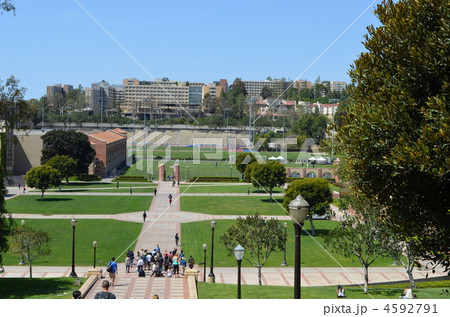 カリフォルニア大学ロサンゼルス校 4592791