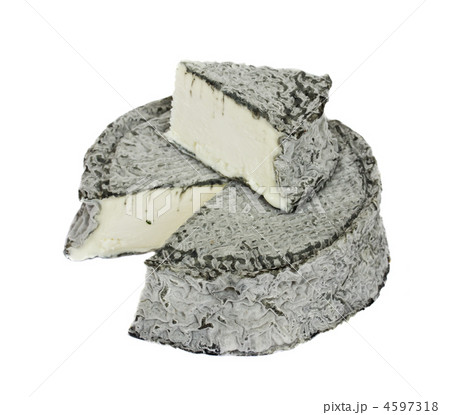 soft fresh cheese 4597318