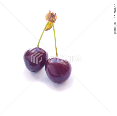 sweet cherry 4598077