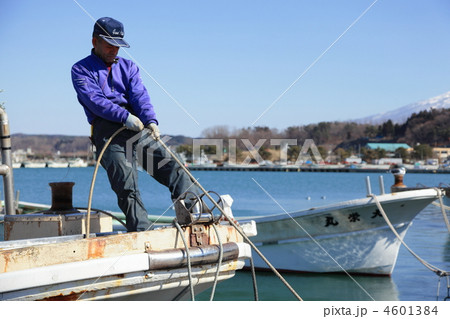 着岸 4601384