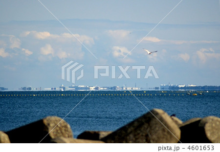 海越しに見る蜃気楼 4601653