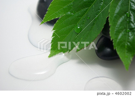 アシタバと黒石と水 4602002