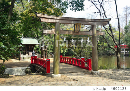 大宮散歩・宗像神社(氷川神社の摂社) 大宮散歩・宗像神社(氷川神社の摂社) 4602123