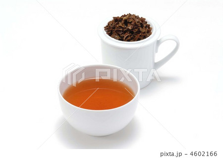 紅茶 紅茶 4602166