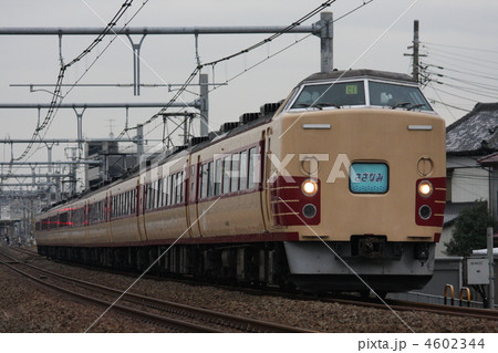 内房線 183系 内房線 183系 4602344