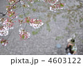 4603122