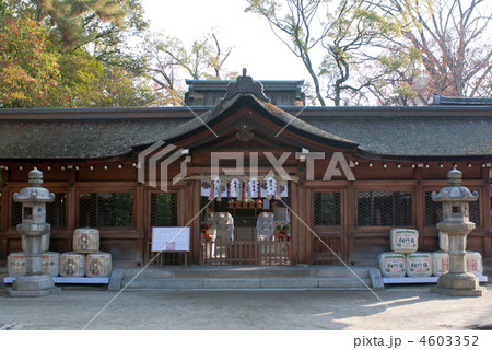 豊国神社　本殿 4603352