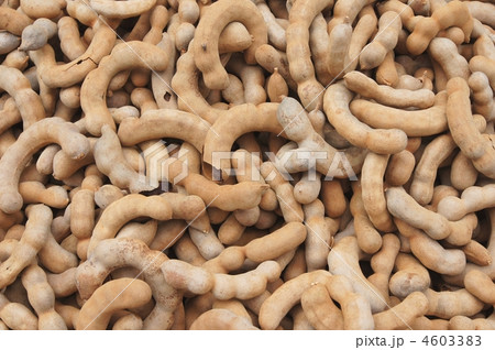 タマリンド 4603383