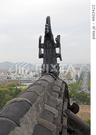 姫路城　大天守の鯱瓦 4603422