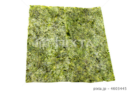 のり 4603445