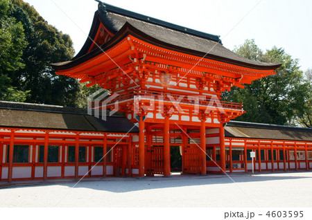 下鴨神社 下鴨神社 4603595