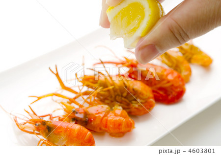 fried shrimp, 川えびのてんぷら fried shrimp, 川えびのてんぷら 4603801