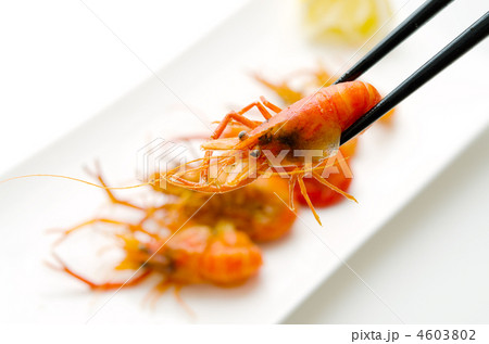 fried shrimp, 川えびのてんぷら 4603802