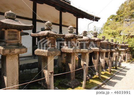 並ぶ石燈籠(春日大社/奈良県奈良市春日野町) 並ぶ石燈籠(春日大社/奈良県奈良市春日野町) 4603991