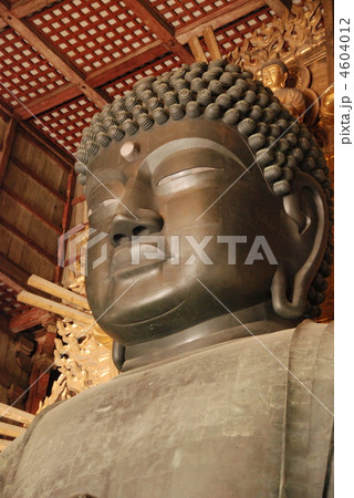 奈良の大仏（東大寺･大仏殿／奈良県奈良市） 4604012