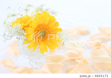 花　ガーベラ　ブーケ 4604173