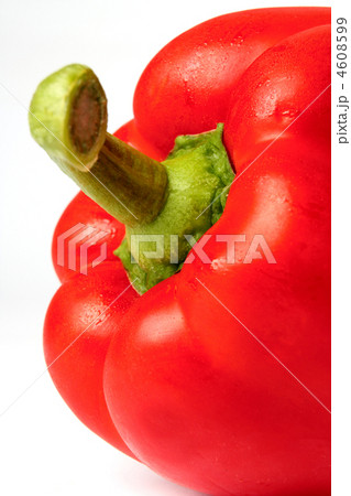 Stalk of pepper 4608599