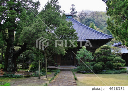 鎌倉・寿福寺の山門 鎌倉・寿福寺の山門 4618381