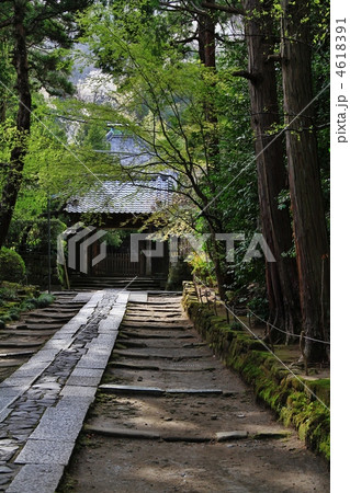 鎌倉・寿福寺の参道 鎌倉・寿福寺の参道 4618391