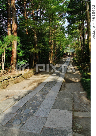 鎌倉・寿福寺の参道 4618452