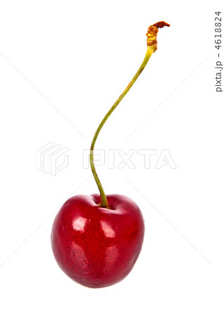 Red cherry 4618824