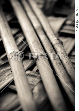 Bamboo sticks Bamboo sticks 4618889