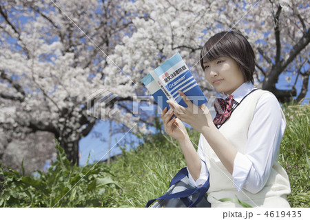 土手に座り参考書を読む女子高校生 土手に座り参考書を読む女子高校生 4619435