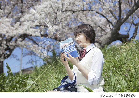 土手に座り参考書を読む女子高校生 土手に座り参考書を読む女子高校生 4619436