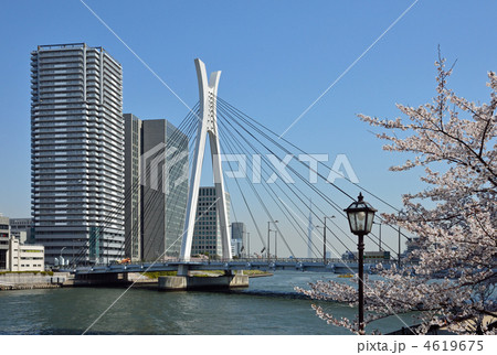 佃島散歩・隅田川に架かる中央大橋 4619675