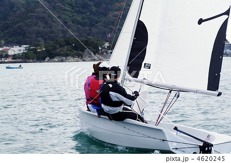 セーリングシーン 4620245