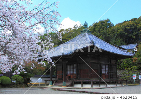 和歌山県粉河寺の御堂 和歌山県粉河寺の御堂 4620415