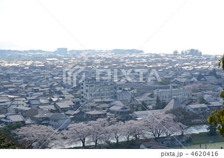 　彦根の街 4620416