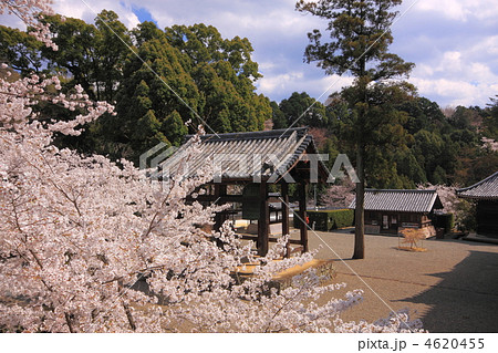 粉河寺の釣鐘堂 粉河寺の釣鐘堂 4620455
