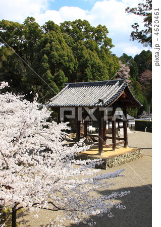 粉河寺の釣鐘堂 4620461