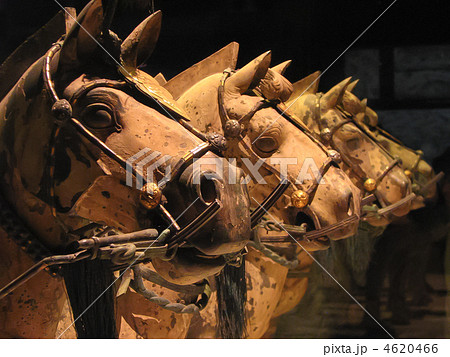中国 西安 兵馬俑博物館の馬 4620466