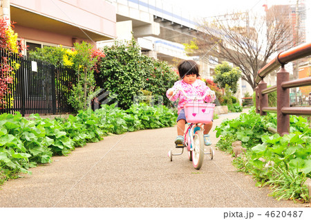 娘のサイクリング２７ 4620487