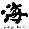 海 4620635