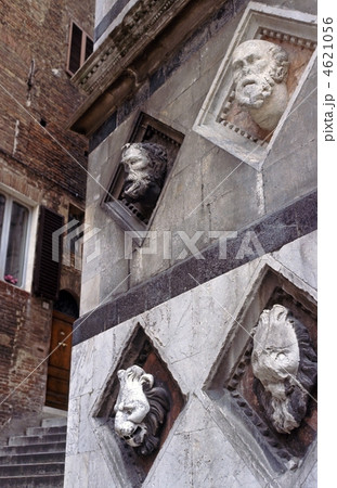 シエナ大聖堂の彫刻 シエナ大聖堂の彫刻 4621056