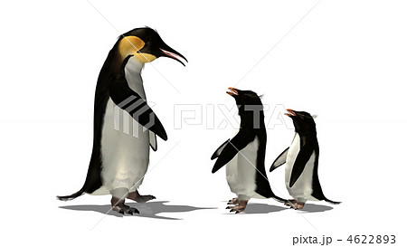 エンペラーペンギン 皇帝ペンギン ペンギンのイラスト素材