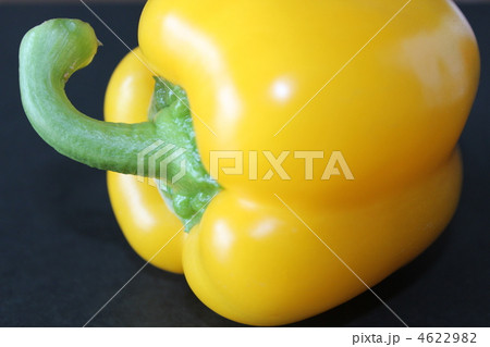 黄色パプリカ３ 4622982