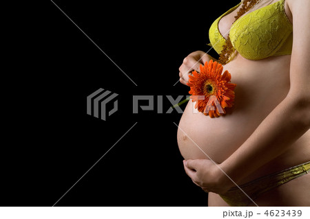 Belly of a pregnant young woman with flower Belly of a pregnant young woman with flower 4623439