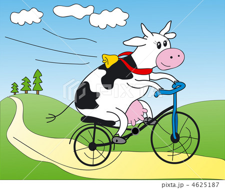 Happy cow on a bicycle! 4625187