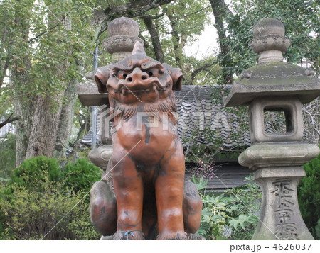 狛犬　住吉大社　北門　吽形　備前焼 4626037