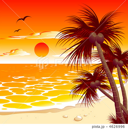 Tropical sunset 4626996