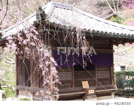 長谷寺 長谷寺 4628030